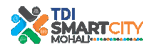 tdicity logo